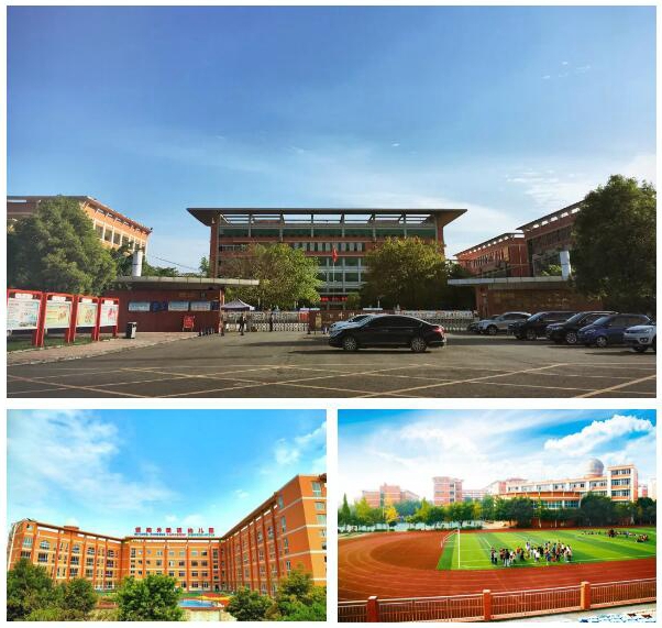 1562554097209951.jpg 7.jpg