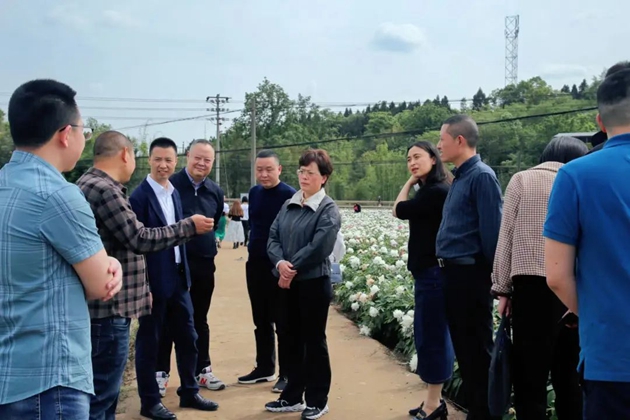 1650505967725339.jpg 4.jpg