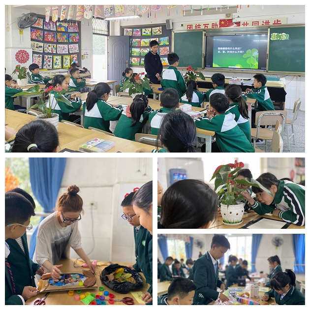 1651196603726495.jpg 繼光實(shí)驗(yàn)學(xué)校美術(shù)組開展新教師成長計(jì)劃教育教學(xué)活動(dòng).jpg